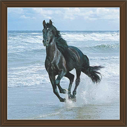 Horse Paintings (HS-3425)